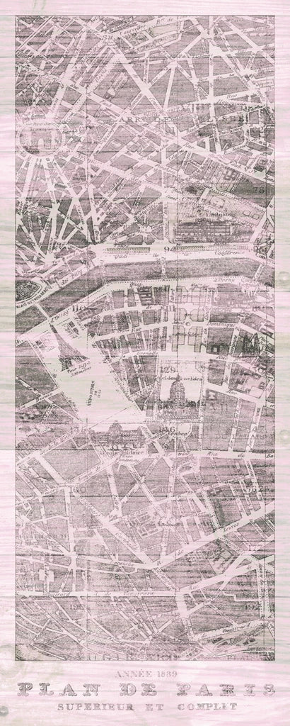 Plan de Paris Panel on Wood v2 Blush by Wild Apple Portfolio