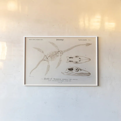 Plesiosaurus Illustrated by Wild Apple Portfolio. shown as a paper print in a white frame. Available as a archival giclee rolled canvas, fine art paper, or poster print. SKU 90314i.