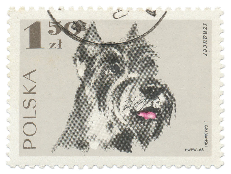Poland Stamp I on White by Wild Apple Portfolio