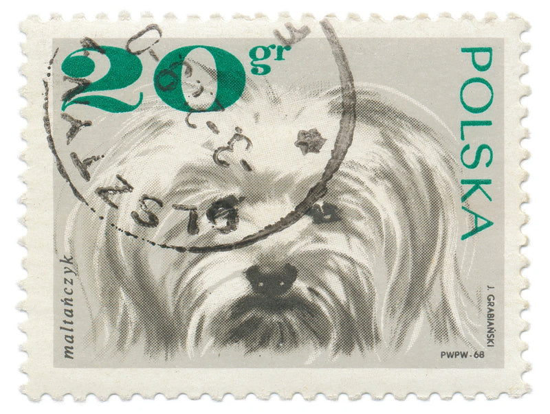 Poland Stamp II on White by Wild Apple Portfolio