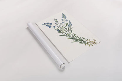 Polygala on White by Wild Apple Portfolio. shown as a rolled paper print. Available as archival giclee rolled canvas, fine art paper, or poster print. SKU 76147h.