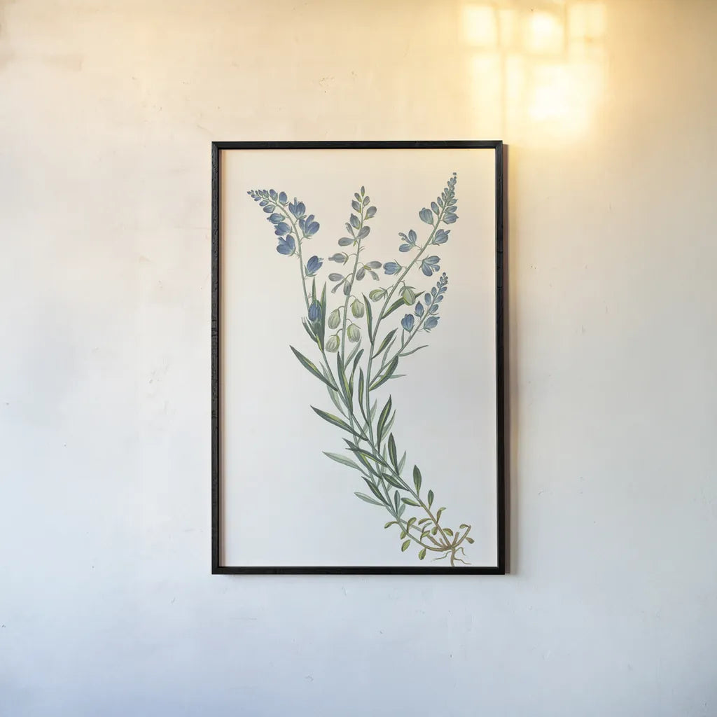 Polygala on White by Wild Apple Portfolio. shown as a paper print in a black flame. Available as a archival giclee rolled canvas, fine art paper, or poster print. SKU 76147h.