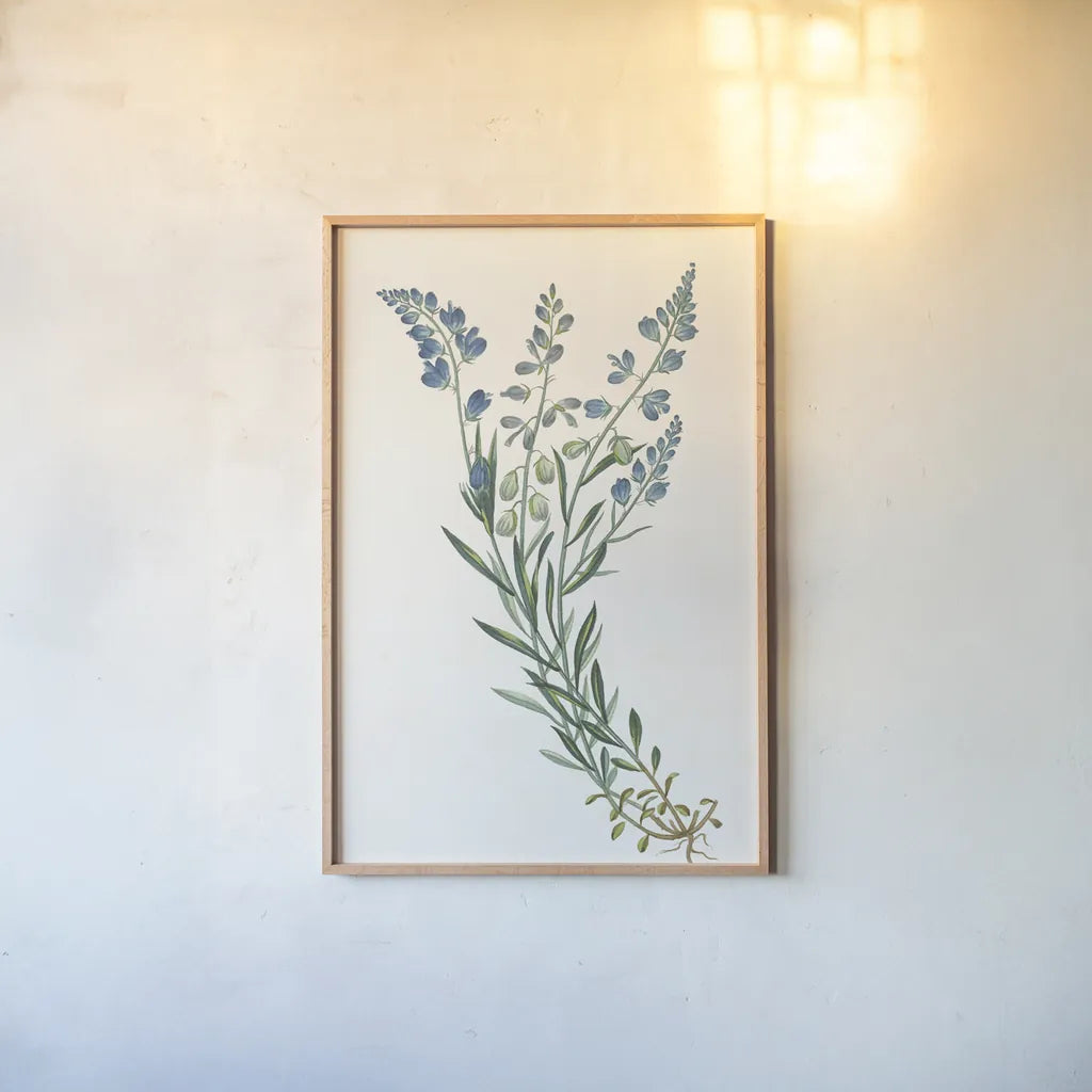 Polygala on White by Wild Apple Portfolio. shown as a paper print in a natural frame. Available as a archival giclee rolled canvas, fine art paper, or poster print. SKU 76147h.