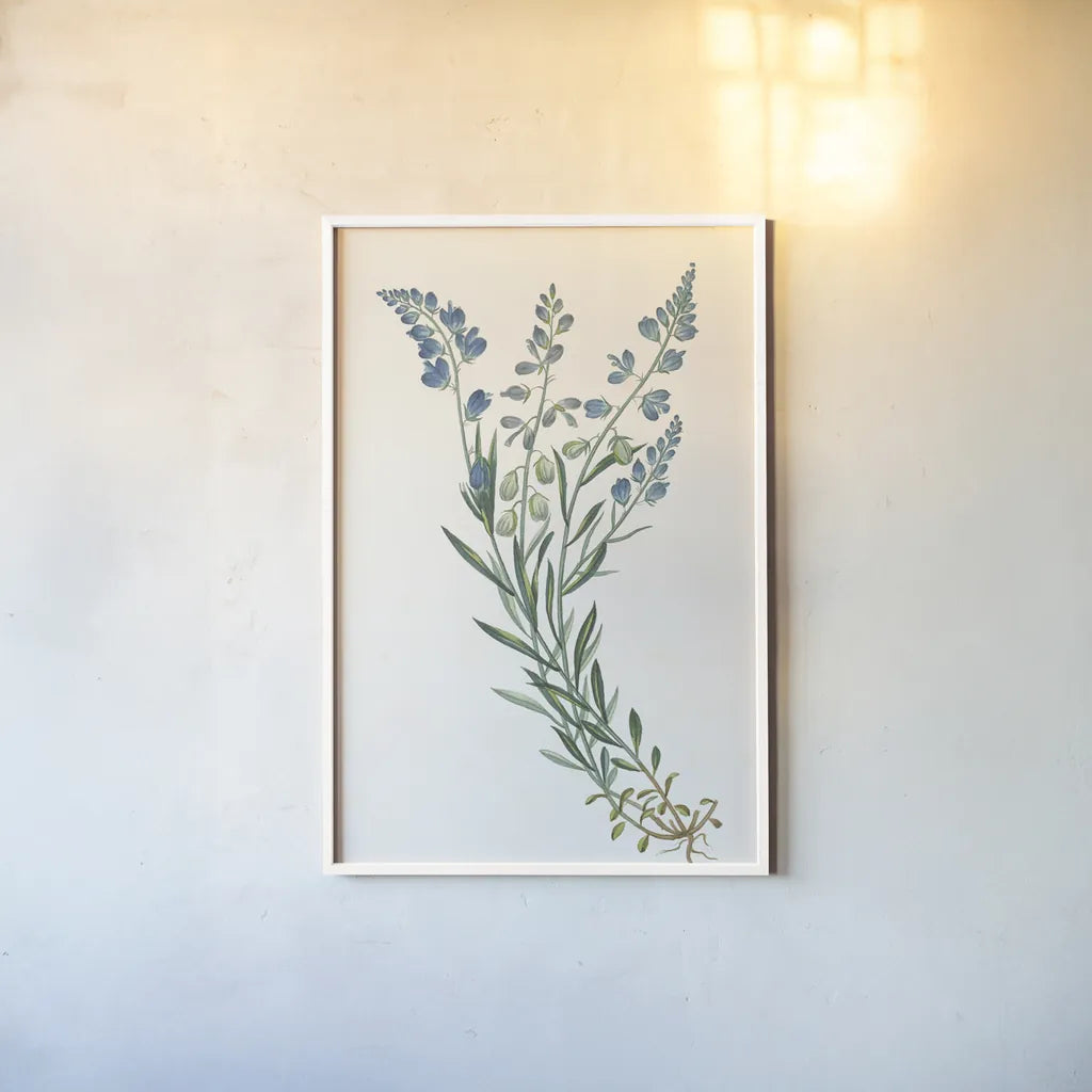 Polygala on White by Wild Apple Portfolio. shown as a paper print in a white frame. Available as a archival giclee rolled canvas, fine art paper, or poster print. SKU 76147h.