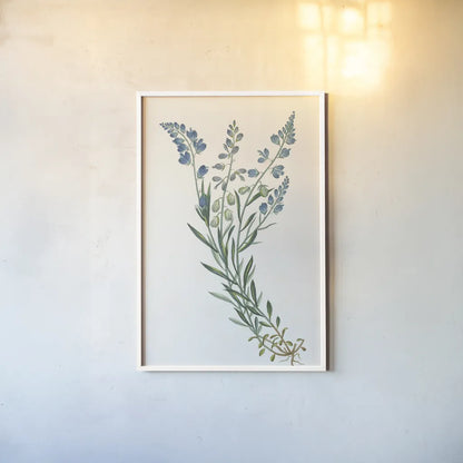 Polygala on White by Wild Apple Portfolio. shown as a paper print in a white frame. Available as a archival giclee rolled canvas, fine art paper, or poster print. SKU 76147h.