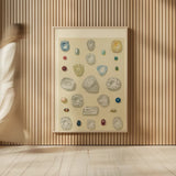 Precious Stones I by Wild Apple Portfolio. shown as over sized large wall art. Available as an archival giclee rolled canvas, fine art paper, or poster print. SKU 61591h.