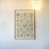 Precious Stones I by Wild Apple Portfolio. shown as a paper print in a natural frame. Available as a archival giclee rolled canvas, fine art paper, or poster print. SKU 61591h.