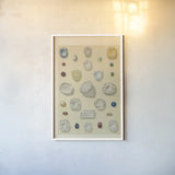Precious Stones I by Wild Apple Portfolio. shown as a paper print in a white frame. Available as a archival giclee rolled canvas, fine art paper, or poster print. SKU 61591h.