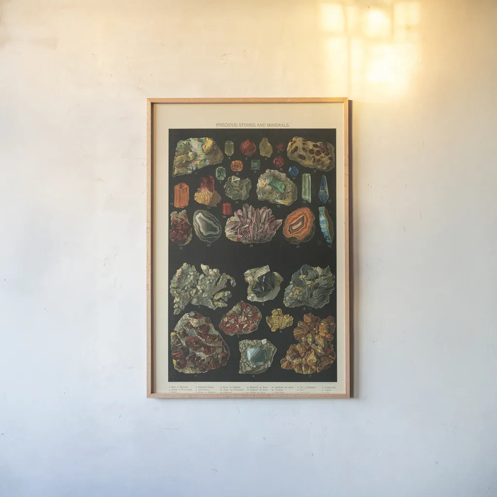 Precious Stones III by Wild Apple Portfolio. shown as a paper print in a natural frame. Available as a archival giclee rolled canvas, fine art paper, or poster print. SKU 61593h.