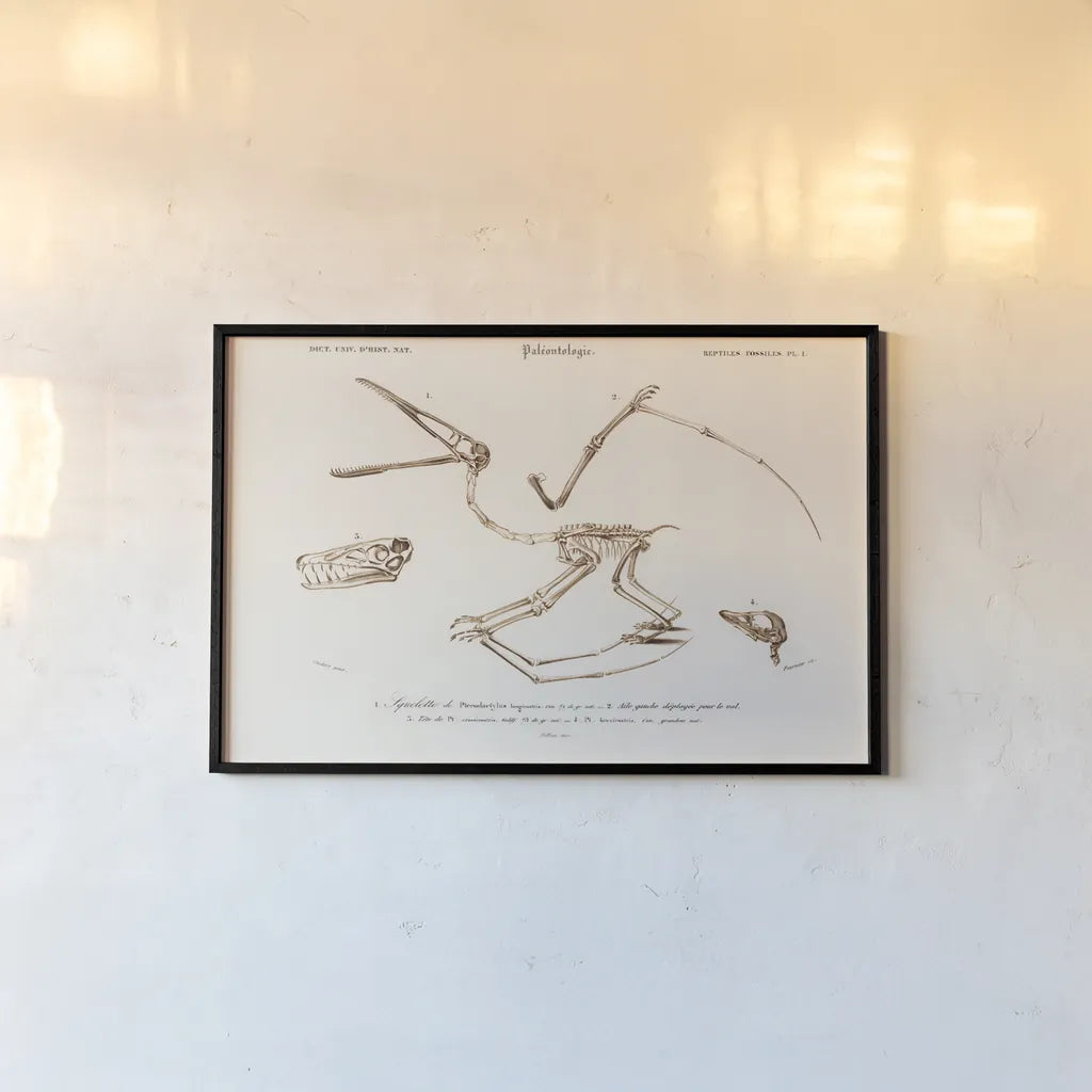 Pterosaur Illustrated by Wild Apple Portfolio. shown as a paper print in a black flame. Available as a archival giclee rolled canvas, fine art paper, or poster print. SKU 90316i.