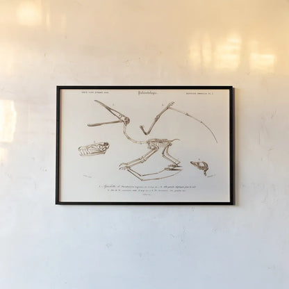 Pterosaur Illustrated by Wild Apple Portfolio. shown as a paper print in a black flame. Available as a archival giclee rolled canvas, fine art paper, or poster print. SKU 90316i.