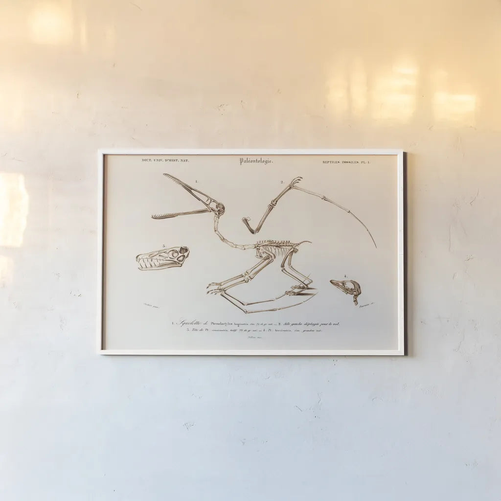 Pterosaur Illustrated by Wild Apple Portfolio. shown as a paper print in a white frame. Available as a archival giclee rolled canvas, fine art paper, or poster print. SKU 90316i.