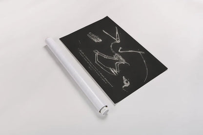 Pterosaur Illustrated on Black by Wild Apple Portfolio. shown as a rolled paper print. Available as archival giclee rolled canvas, fine art paper, or poster print. SKU 96659i.