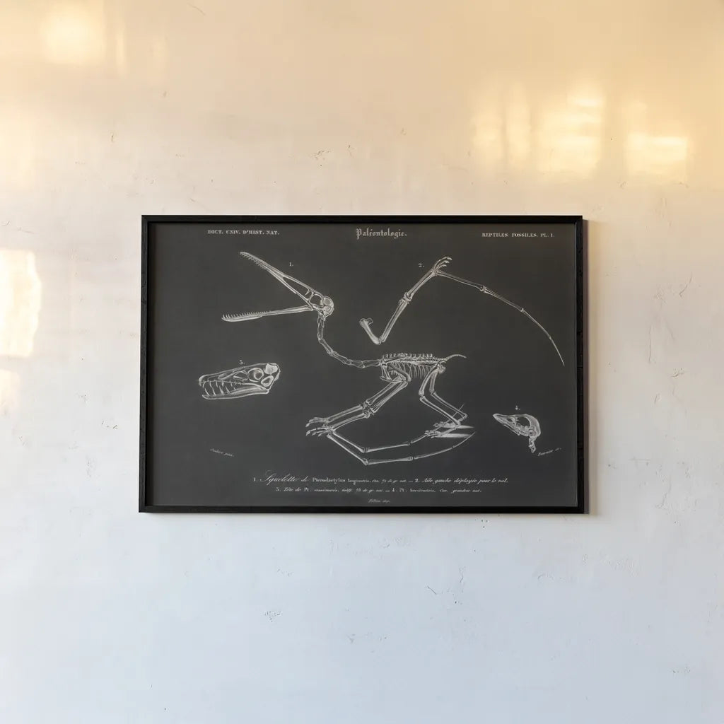 Pterosaur Illustrated on Black by Wild Apple Portfolio. shown as a paper print in a black flame. Available as a archival giclee rolled canvas, fine art paper, or poster print. SKU 96659i.