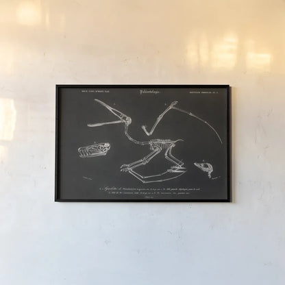 Pterosaur Illustrated on Black by Wild Apple Portfolio. shown as a paper print in a black flame. Available as a archival giclee rolled canvas, fine art paper, or poster print. SKU 96659i.