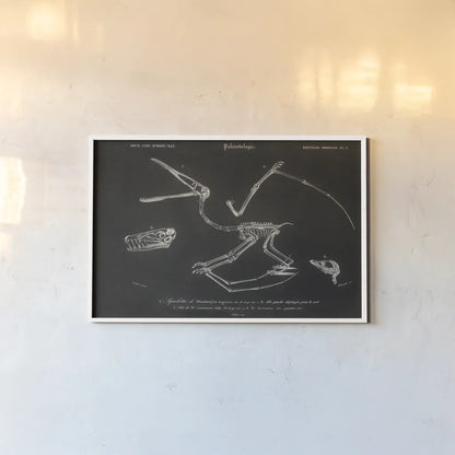 Pterosaur Illustrated on Black by Wild Apple Portfolio. shown as a paper print in a white frame. Available as a archival giclee rolled canvas, fine art paper, or poster print. SKU 96659i.