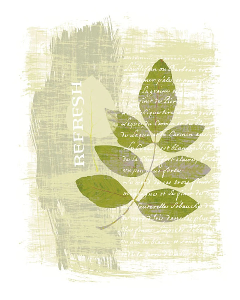 Refresh by Wild Apple Portfolio