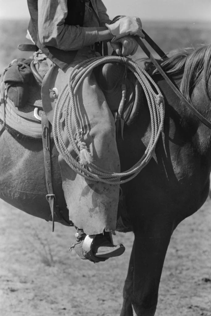 Regalia of the Cowboy by Wild Apple Portfolio