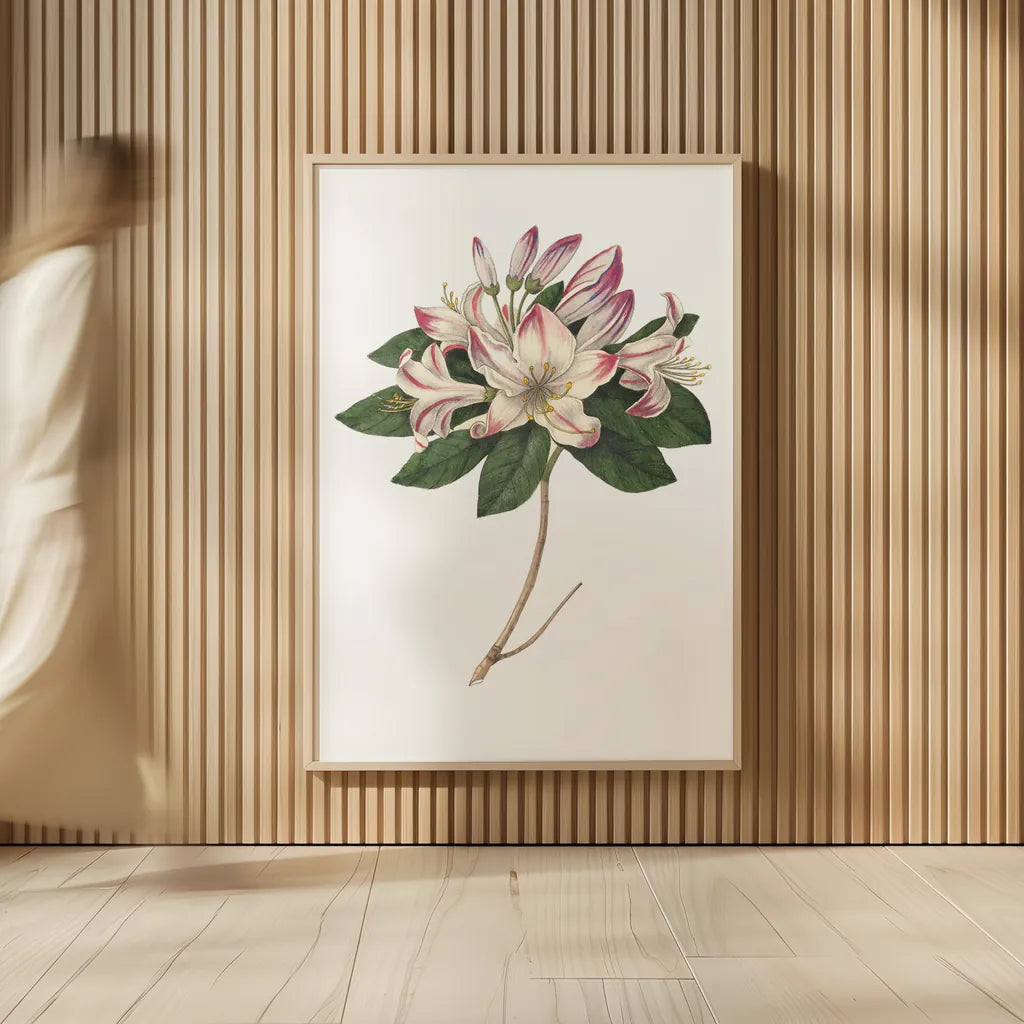 Rhododendron Bright by Wild Apple Portfolio. shown as over sized large wall art. Available as an archival giclee rolled canvas, fine art paper, or poster print. SKU 45387h.
