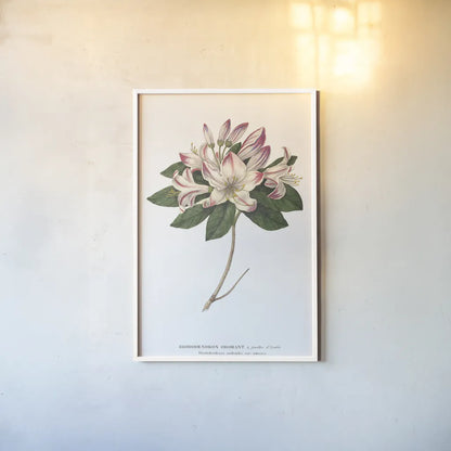 Rhododendron Bright by Wild Apple Portfolio. shown as a paper print in a white frame. Available as a archival giclee rolled canvas, fine art paper, or poster print. SKU 45387h.