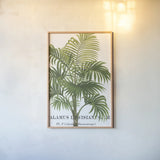 Riviera Palms I by Wild Apple Portfolio. shown as a paper print in a natural frame. Available as a archival giclee rolled canvas, fine art paper, or poster print. SKU 9919h.