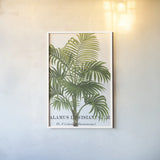 Riviera Palms I by Wild Apple Portfolio. shown as a paper print in a white frame. Available as a archival giclee rolled canvas, fine art paper, or poster print. SKU 9919h.