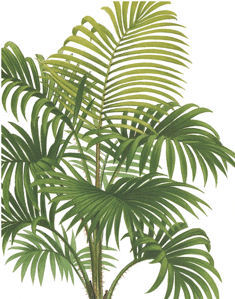Riviera Palms I Crop by Wild Apple Portfolio