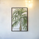 Riviera Palms II by Wild Apple Portfolio. shown as a paper print in a black flame. Available as a archival giclee rolled canvas, fine art paper, or poster print. SKU 9920h.