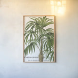 Riviera Palms II by Wild Apple Portfolio. shown as a paper print in a natural frame. Available as a archival giclee rolled canvas, fine art paper, or poster print. SKU 9920h.