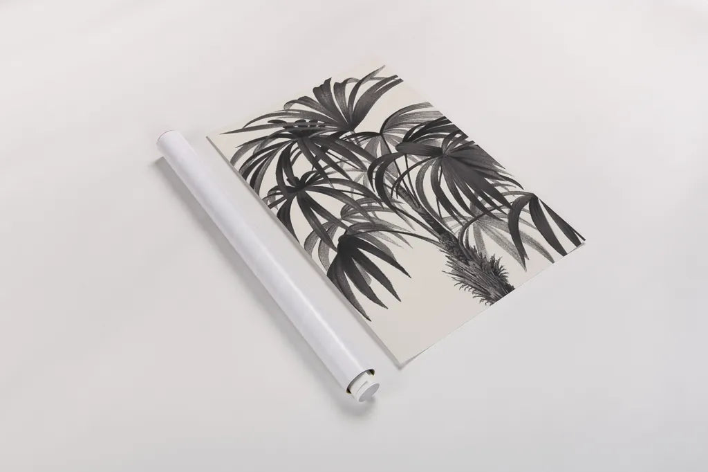 Riviera Palms II BW by Wild Apple Portfolio. shown as a rolled paper print. Available as archival giclee rolled canvas, fine art paper, or poster print. SKU 75167h.