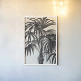 Riviera Palms II BW by Wild Apple Portfolio. shown as a paper print in a white frame. Available as a archival giclee rolled canvas, fine art paper, or poster print. SKU 75167h.