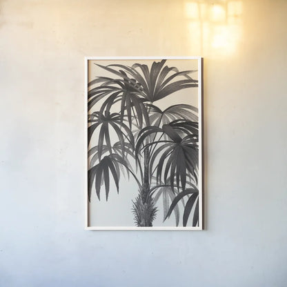 Riviera Palms II BW by Wild Apple Portfolio. shown as a paper print in a white frame. Available as a archival giclee rolled canvas, fine art paper, or poster print. SKU 75167h.
