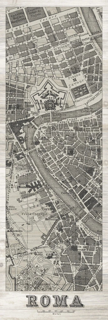 Roma Map Panel on Wood by Wild Apple Portfolio
