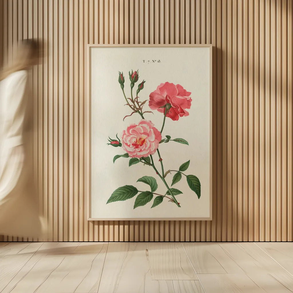 Rosa by Wild Apple Portfolio. shown as over sized large wall art. Available as an archival giclee rolled canvas, fine art paper, or poster print. SKU 44023h.