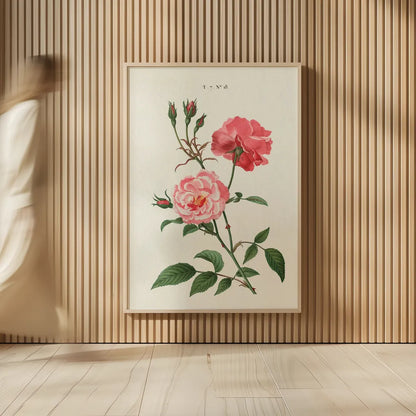 Rosa by Wild Apple Portfolio. shown as over sized large wall art. Available as an archival giclee rolled canvas, fine art paper, or poster print. SKU 44023h.