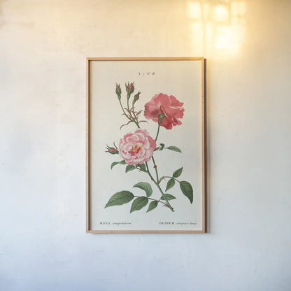 Rosa by Wild Apple Portfolio. shown as a paper print in a natural frame. Available as a archival giclee rolled canvas, fine art paper, or poster print. SKU 44023h.