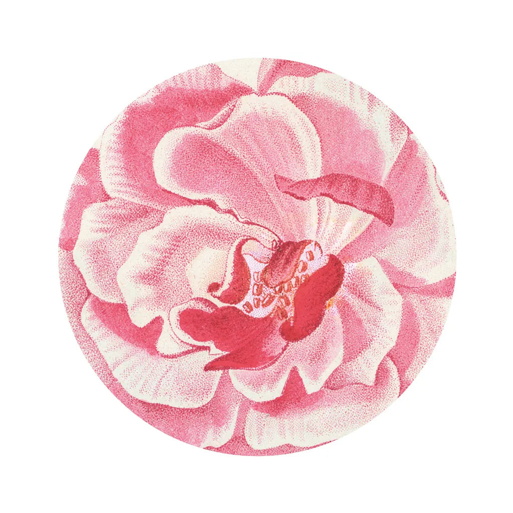 Rosa Circle by Wild Apple Portfolio. SKU 44025a. Archival Giclee Fine art print for wall decor.