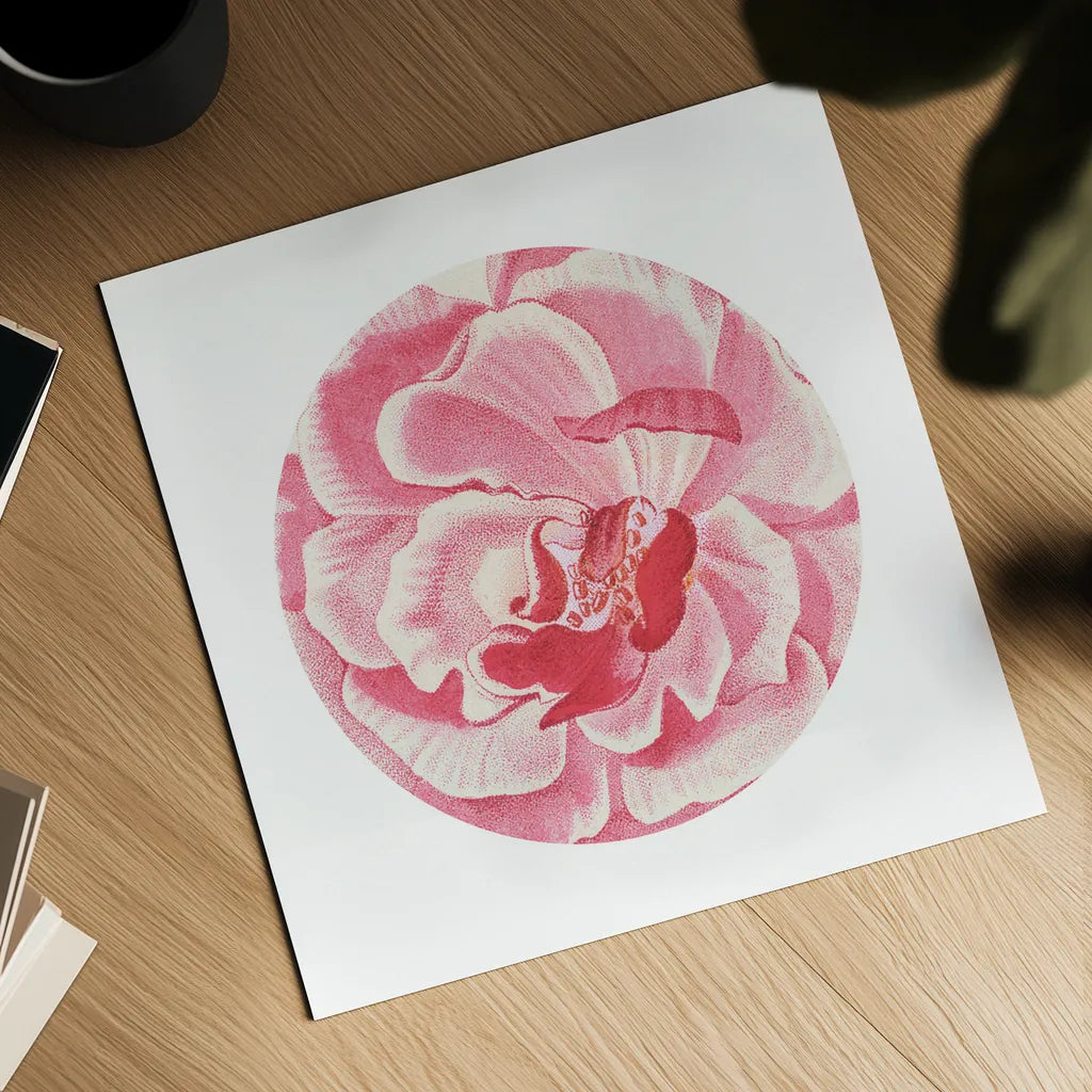 Rosa Circle by Wild Apple Portfolio. Shown as a detailed flat fine art print, highlighting archival giclee quality. Available as an archival giclee rolled canvas, fine art paper, or poster print. SKU 44025a.