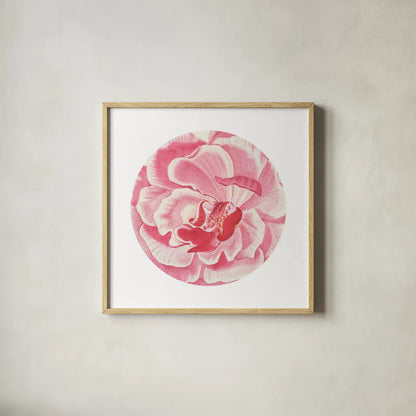 Rosa Circle by Wild Apple Portfolio. Shown in a natural wood glass frame for a timeless modern aesthetic. Available as an archival giclee rolled canvas, fine art paper, or poster print. SKU 44025a.