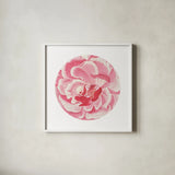 Rosa Circle by Wild Apple Portfolio. Shown in a crisp white glass frame for a clean and minimalist style. Available as an archival giclee rolled canvas, fine art paper, or poster print. SKU 44025a.