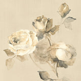 Rose Blossoms Crop by Wild Apple Portfolio. SKU 15599a. Archival Giclee Fine art print for wall decor.