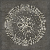 Rosette I Gray by Wild Apple Portfolio. SKU 21573a. Archival Giclee Fine art print for wall decor.