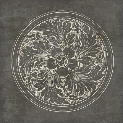 Rosette II Gray by Wild Apple Portfolio. SKU 21574a. Archival Giclee Fine art print for wall decor.