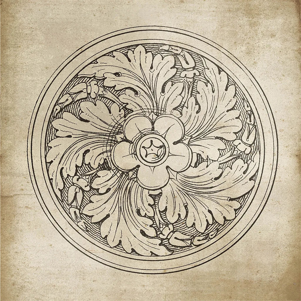 Rosette II Neutral by Wild Apple Portfolio. SKU 24305a. Archival Giclee Fine art print for wall decor.