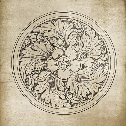 Rosette II Neutral by Wild Apple Portfolio. SKU 24305a. Archival Giclee Fine art print for wall decor.