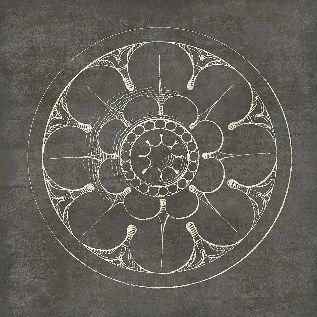 Rosette III Gray by Wild Apple Portfolio. SKU 21575a. Archival Giclee Fine art print for wall decor.