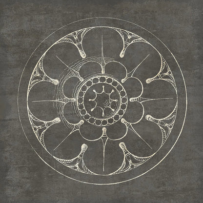 Rosette III Gray by Wild Apple Portfolio. SKU 21575a. Archival Giclee Fine art print for wall decor.