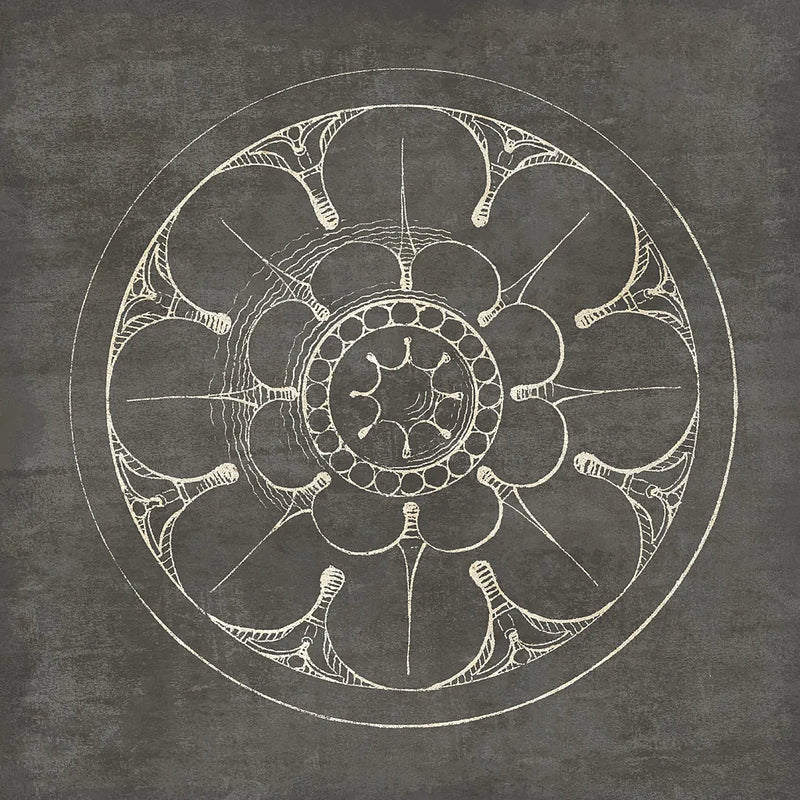 Rosette III Gray by Wild Apple Portfolio. SKU 21575a. Archival Giclee Fine art print for wall decor.