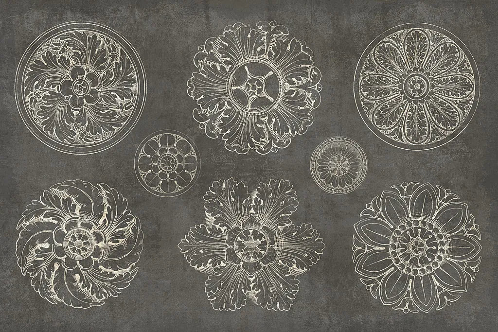 Rosette IX Gray by Wild Apple Portfolio. SKU 21581i. Archival Giclee Fine art print for wall decor.