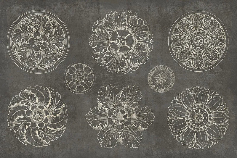 Rosette IX Gray by Wild Apple Portfolio. SKU 21581i. Archival Giclee Fine art print for wall decor.